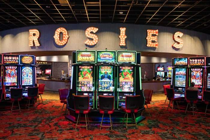 Understanding the Essence of Rosies Gaming Emporium Photos